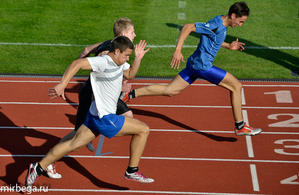 Первенство области по лёгкой атлетике